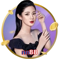 nn88