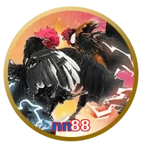 nn88
