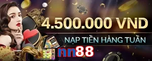 nn88
