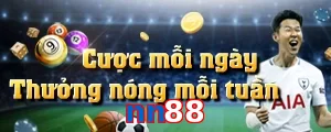 nn88
